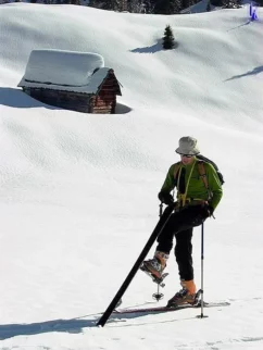 hitri servis