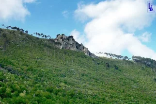 in naš sektor Brn
