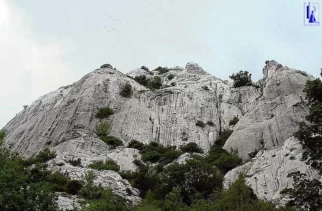 zadovoljna z opravljenim in slovo od stene