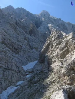 Sneg... ni panike, sej mava cepine!