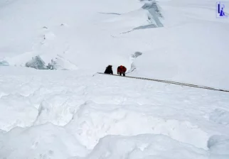 Blatnik s kompanjonom