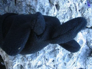 A?