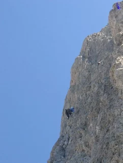 Mesner v drugem detajlu. Navpična plata s šalcami. :)
