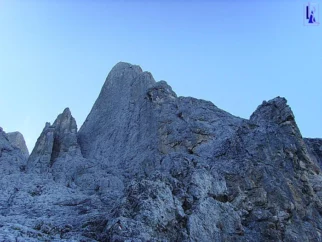 senčna mogočnost današnje smerke; ne zavedamo se še, da je poletje mimo...