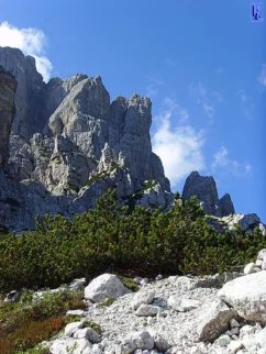 Torre Jolanda.