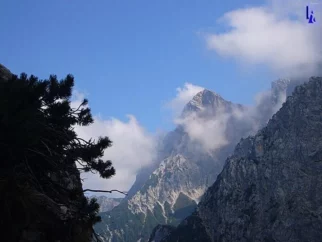 Tudi pogledi izboljšujejo ambient in razpoloženje.
