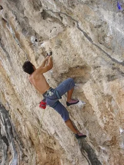 8a ?
