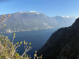 IMG-20260405-WA0017