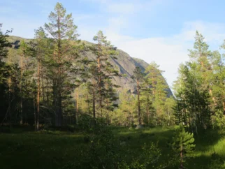 Norveški granit